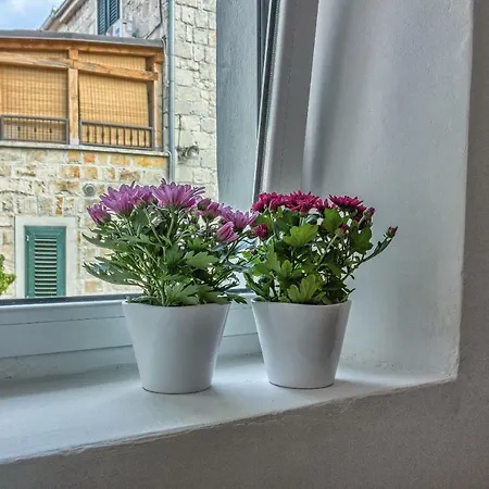 Appartement Lovely New Studio In The City Center 4**** *